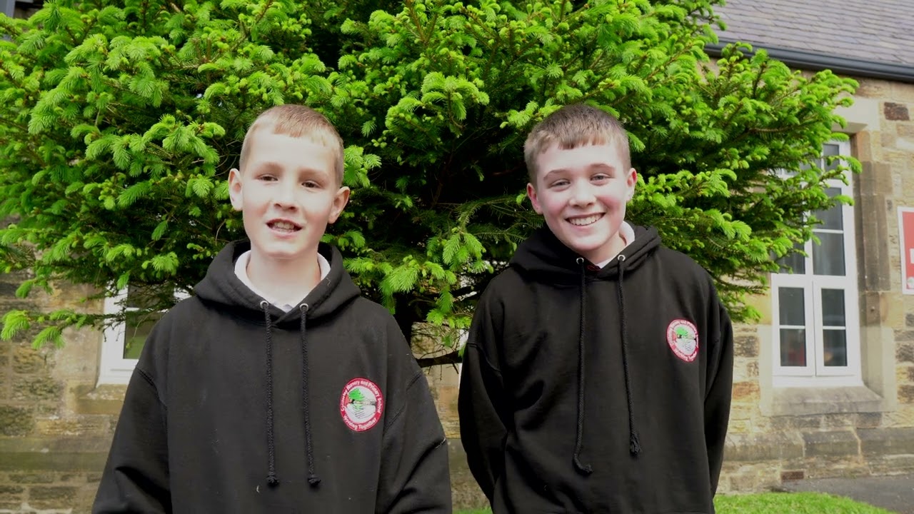 Collierley 2024