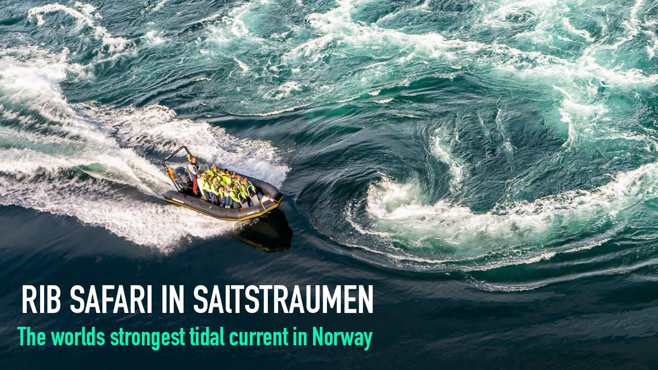 RIB-safari in Saltstraumen -The worlds strongest tidal current