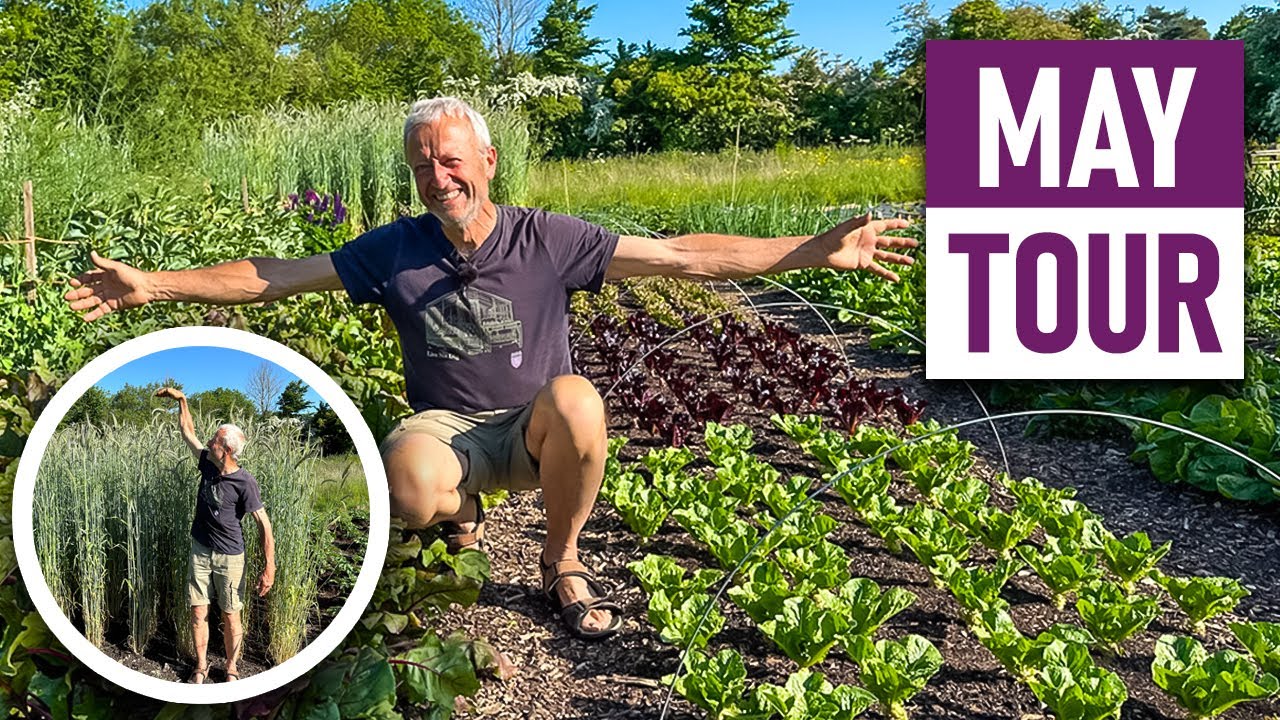 Charles Dowding's no dig garden in May