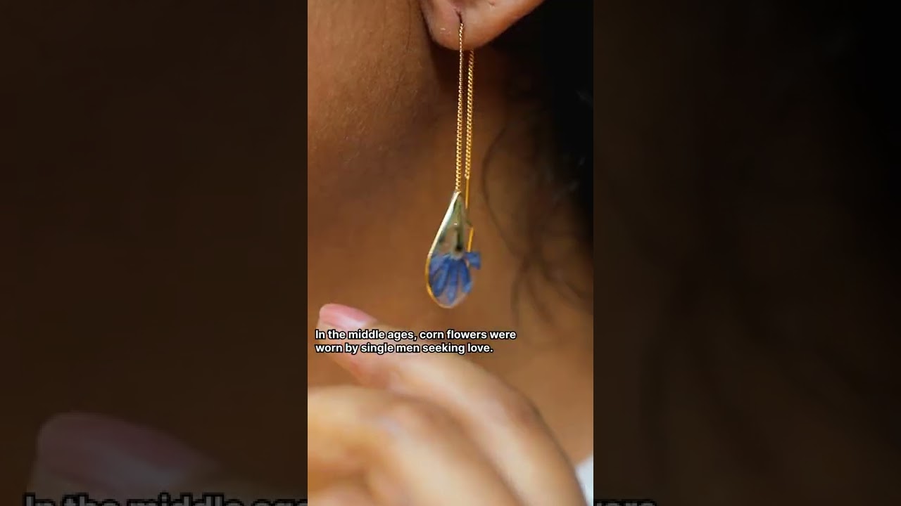 Preserved Cornflowers in 14kt Gold plated threaders available on www.alankaara.com