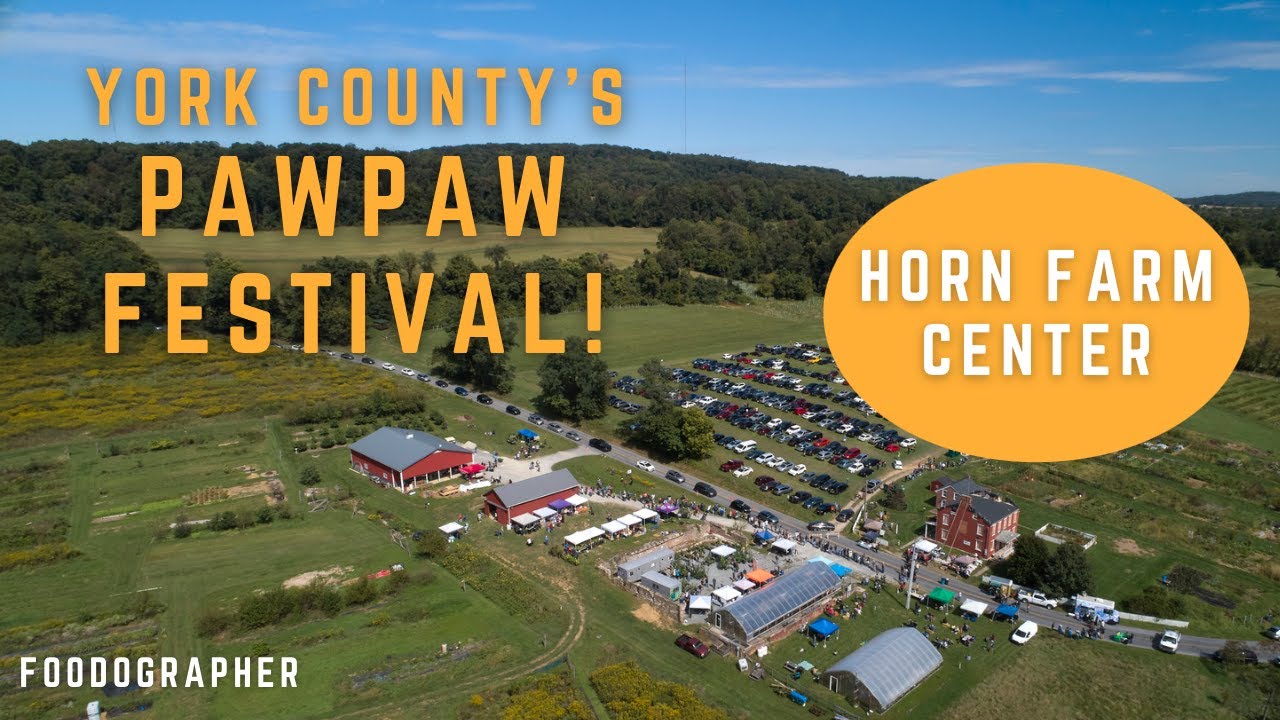 York County's 18th Annual Pawpaw Festival at the Horn Farm Center.