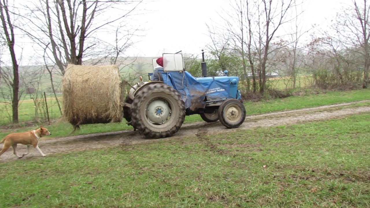 Rolling Out Hay
