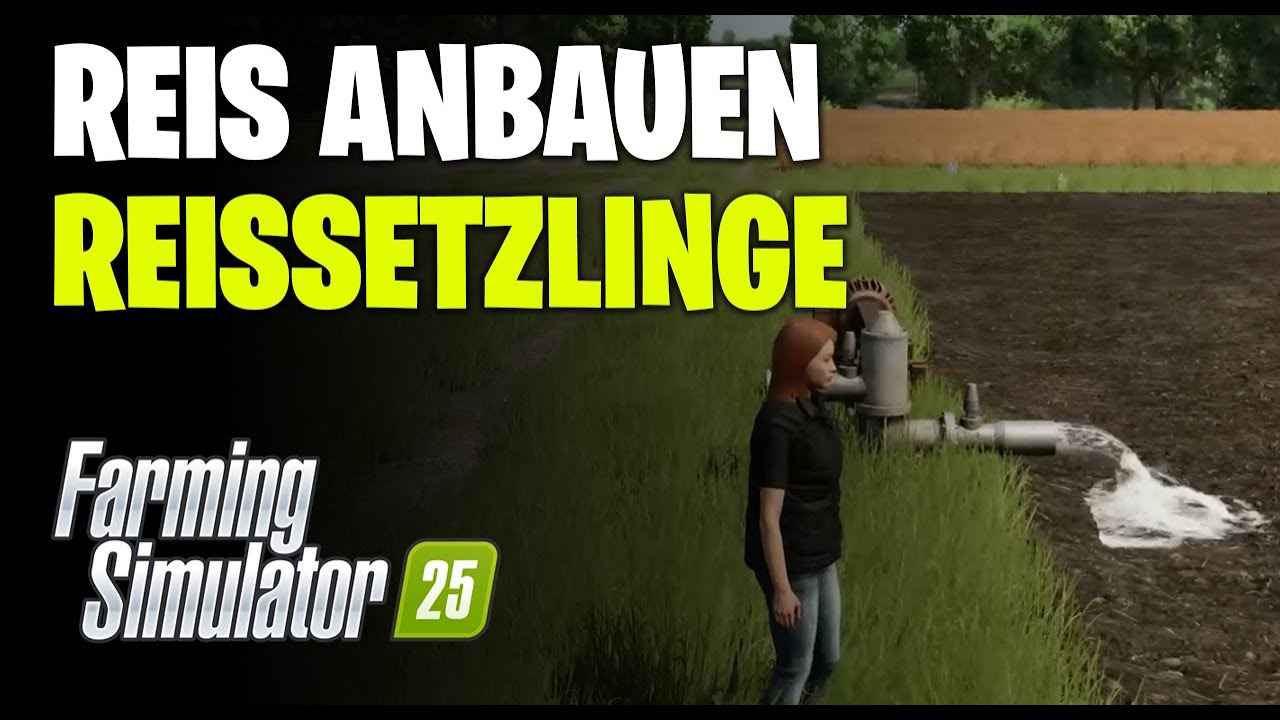 LS25 Reisanbau - Reisfeld Fluten und Reissetzlinge züchten