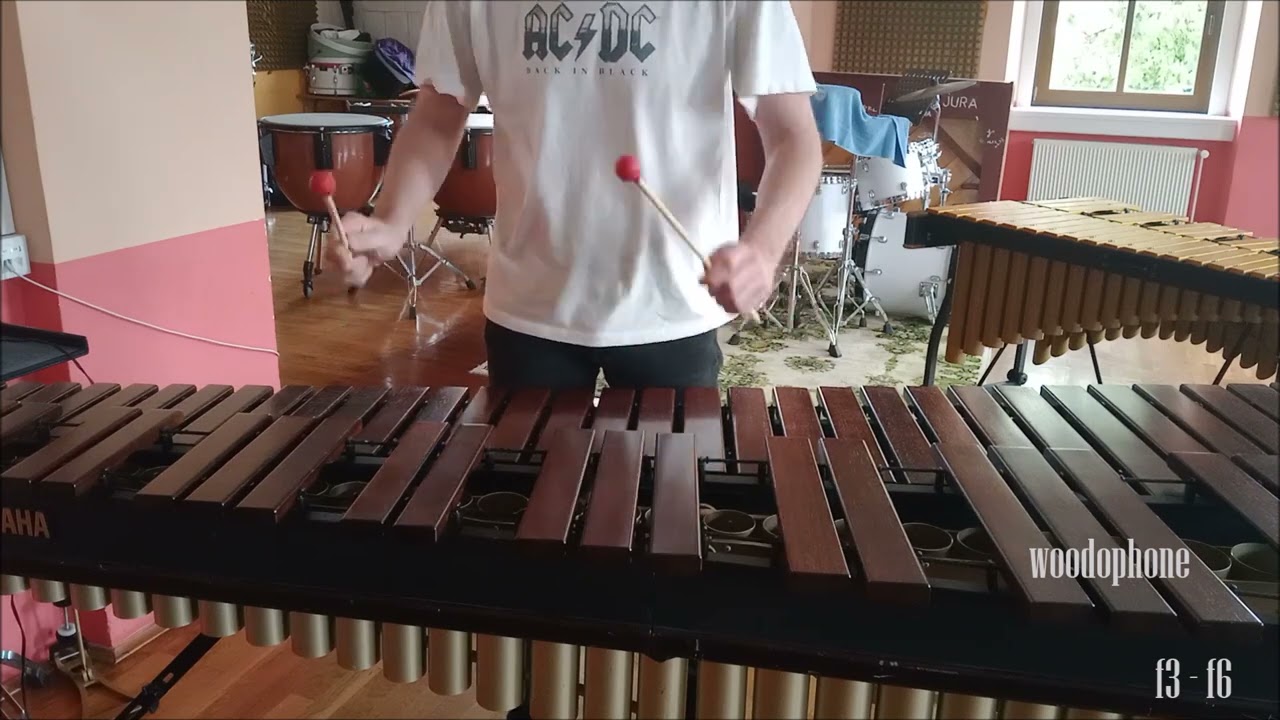 grega goren&scaron;ek - festival de ritmo (middle section) live on woodophone + schlagkraft xrb-1 mallets