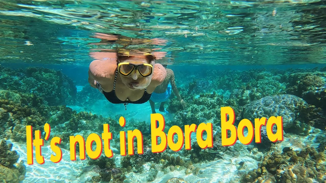 Best Snorkeling Spot in French Polynesia