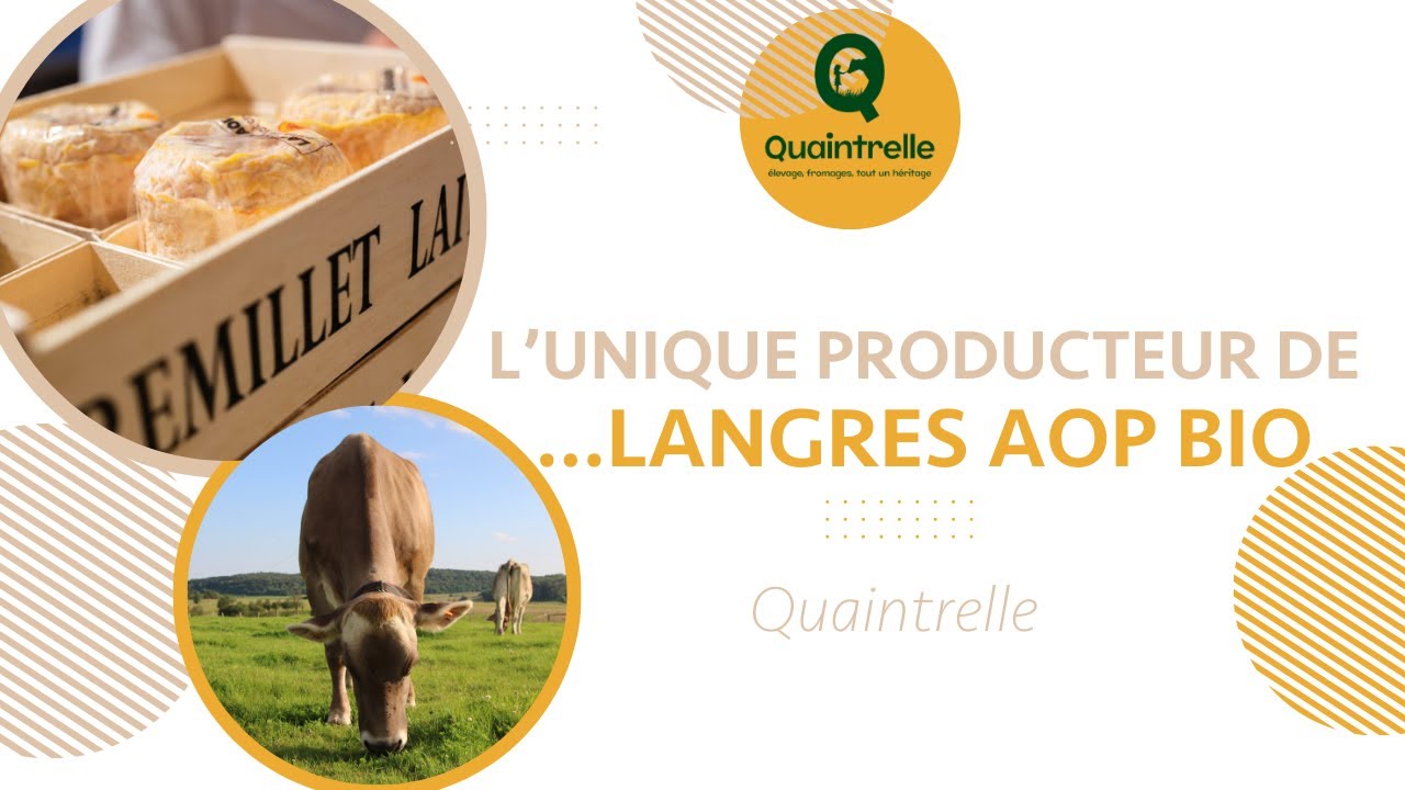 L’unique Langres AOP BIO au lait cru de la famille Remillet