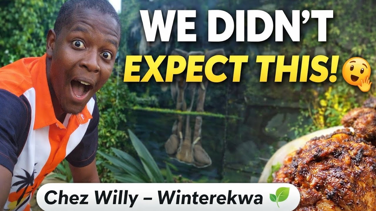 We Didn’t Expect This! 😲 | Chez Willy – Winterekwa Hidden Gem