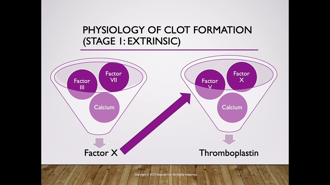 Medications that affect coagulation