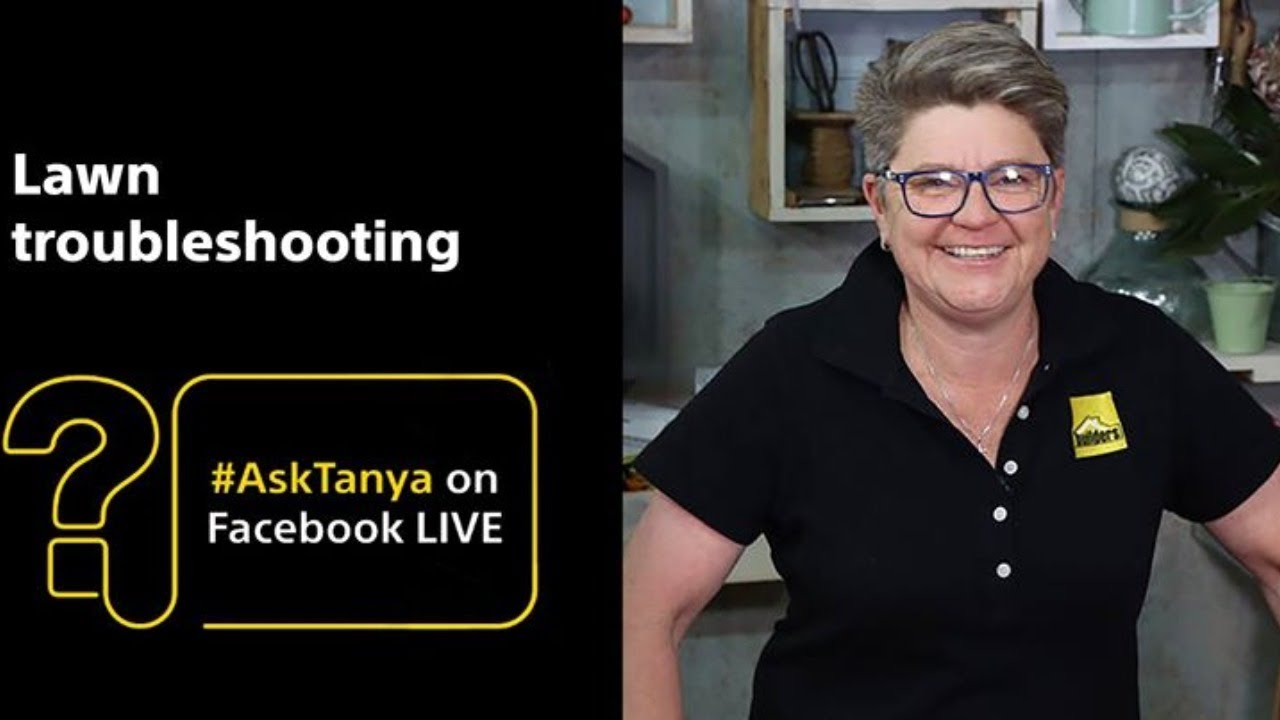 Lawn Troubleshooting - LIVE with Tanya Visser