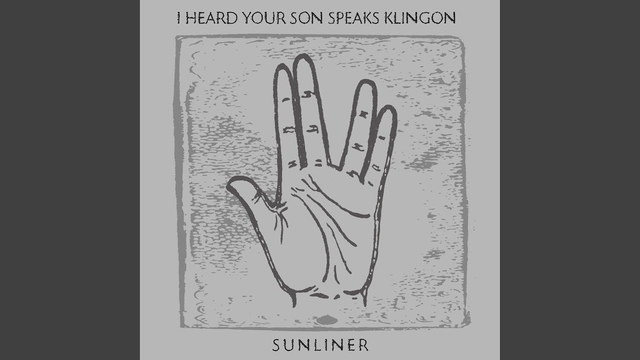 I Heard Your Son Speaks Klingon