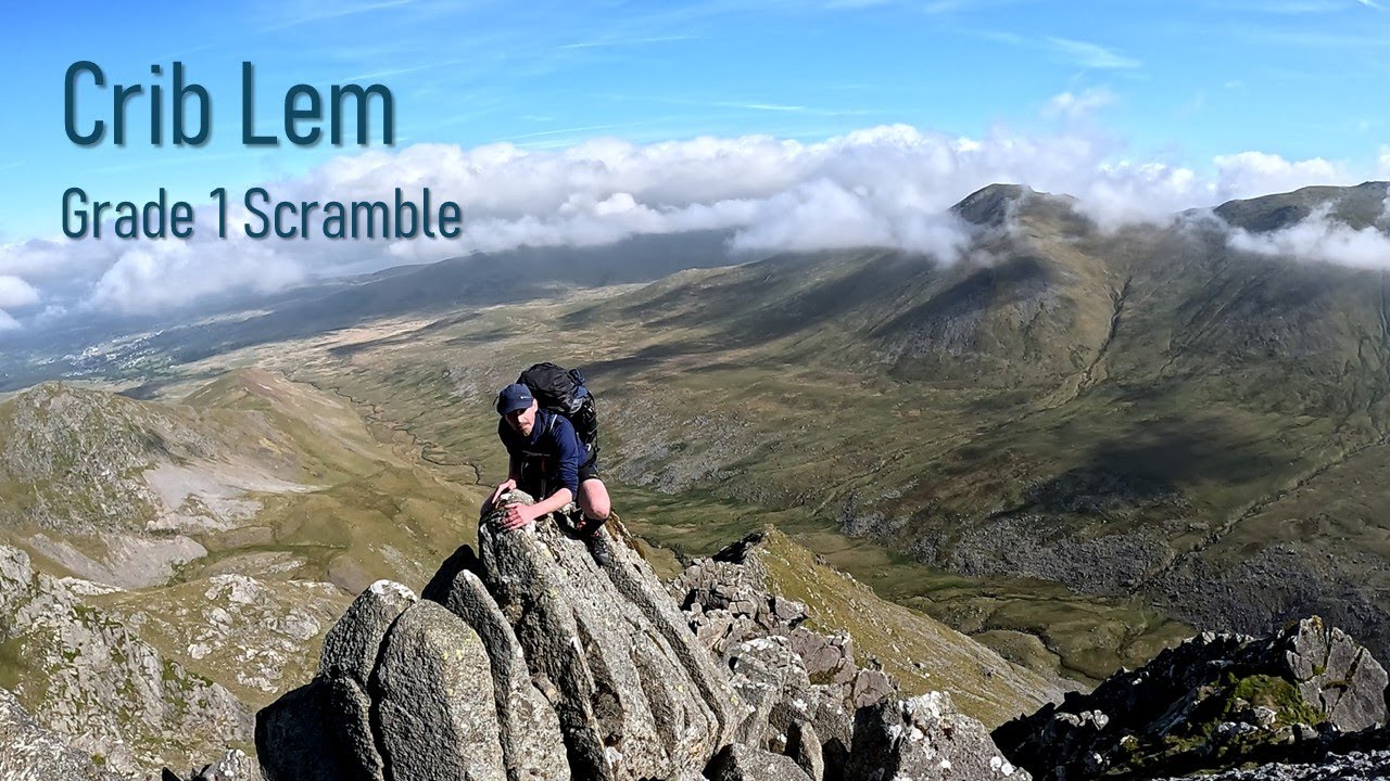 Crib Lem – Grade 1 Scramble