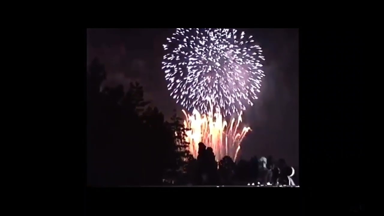 ［1991］TDL new year eve