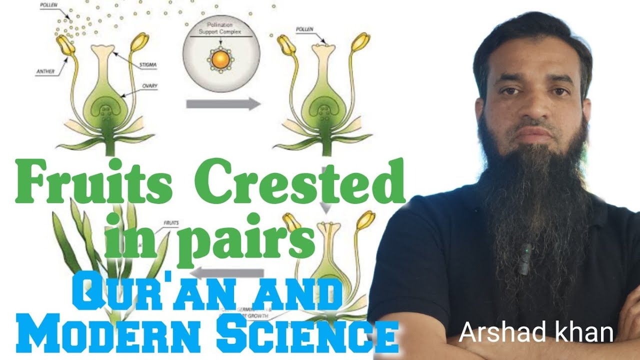 Fruits created in pairs | Qur'an and Modern Science | Message of islam | Arshad khan | miracle