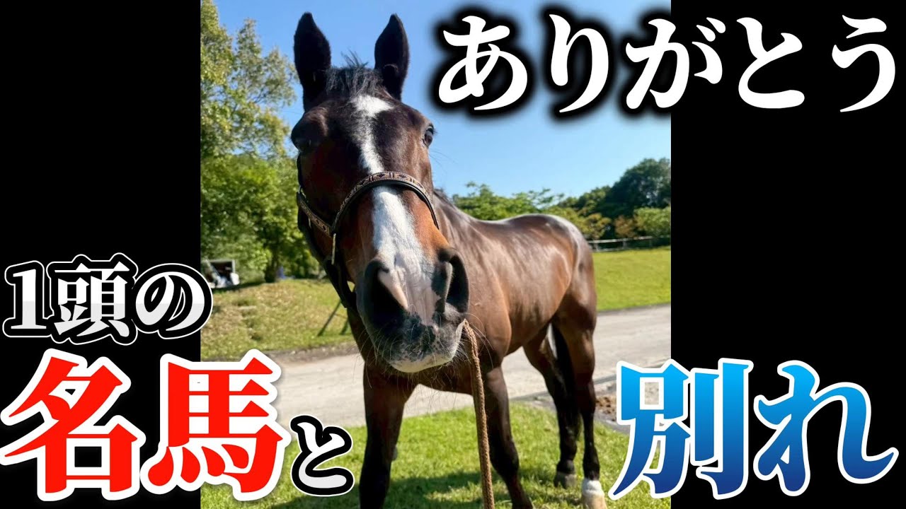 名馬との悲しい別れ…29歳のキープユアタッチ号。障害馬術界の名馬が長い眠りについてしまいました。【ツルマルボーイ様のシモベ】