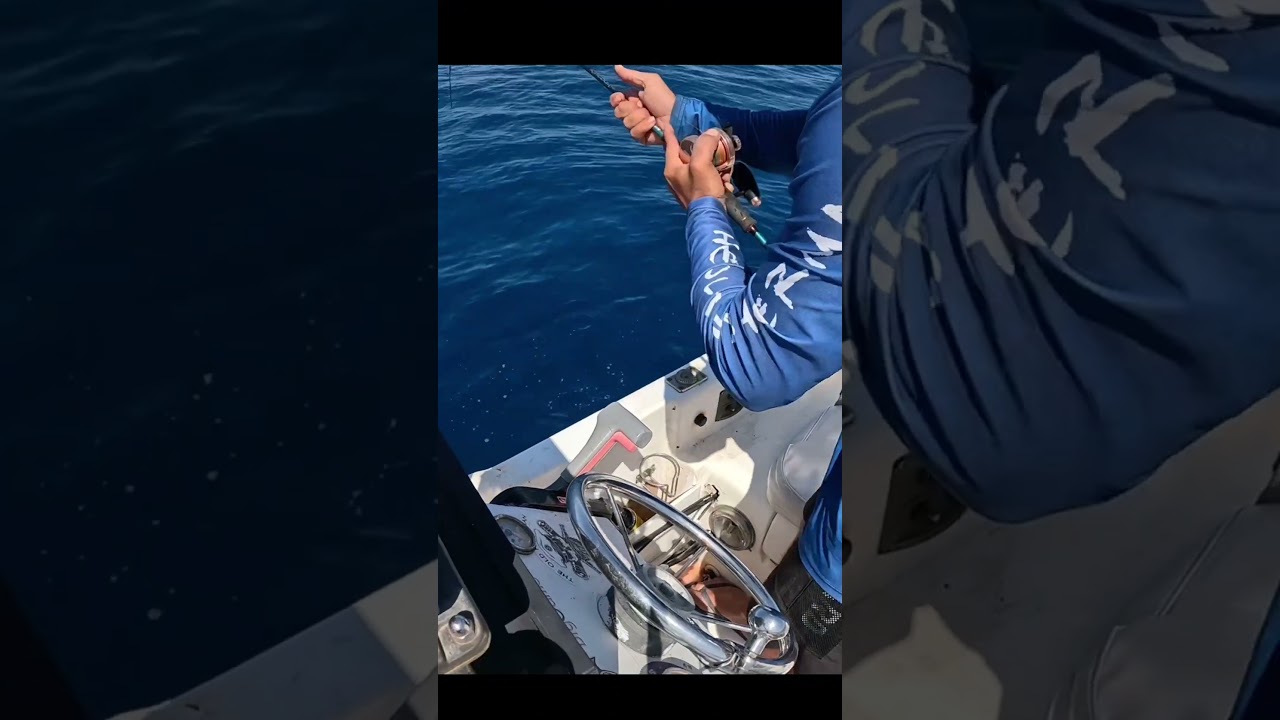 #boatfishing #fishing #&psi;ά&rho;&epsilon;&mu;&alpha; #fishinglife #rhodes #fishingvideo