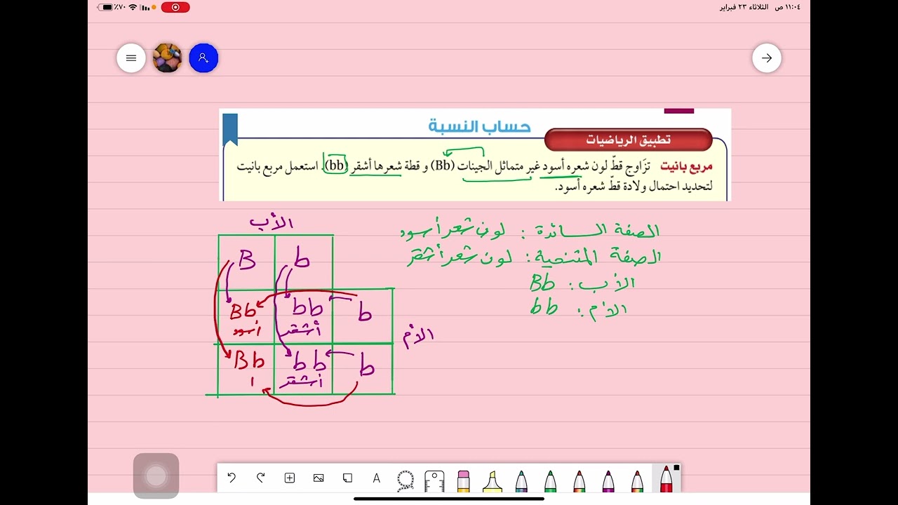 شرح مسائل على مربع بانيت ثالث متوسط