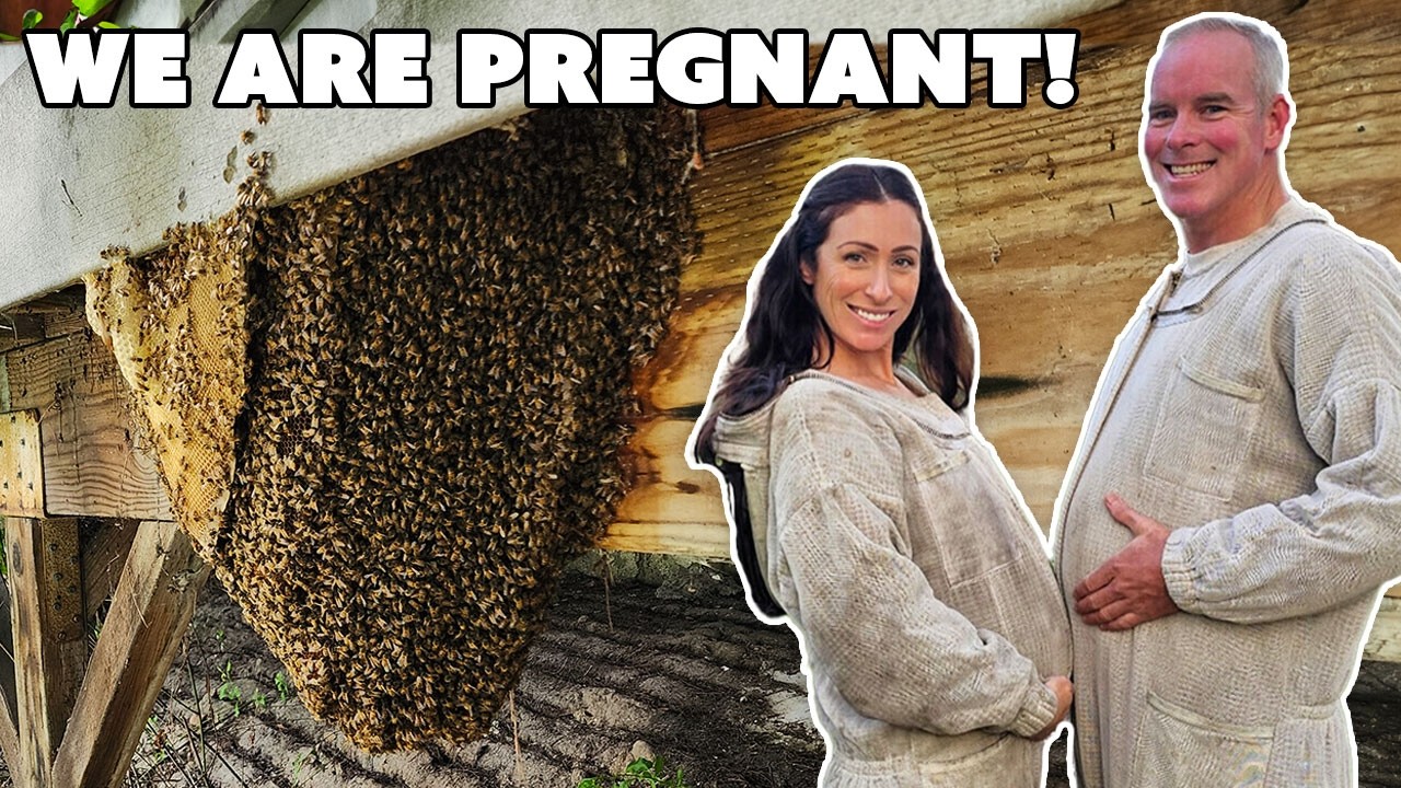 I Took My Very Pregnant Wife On A Huge Bee Removal