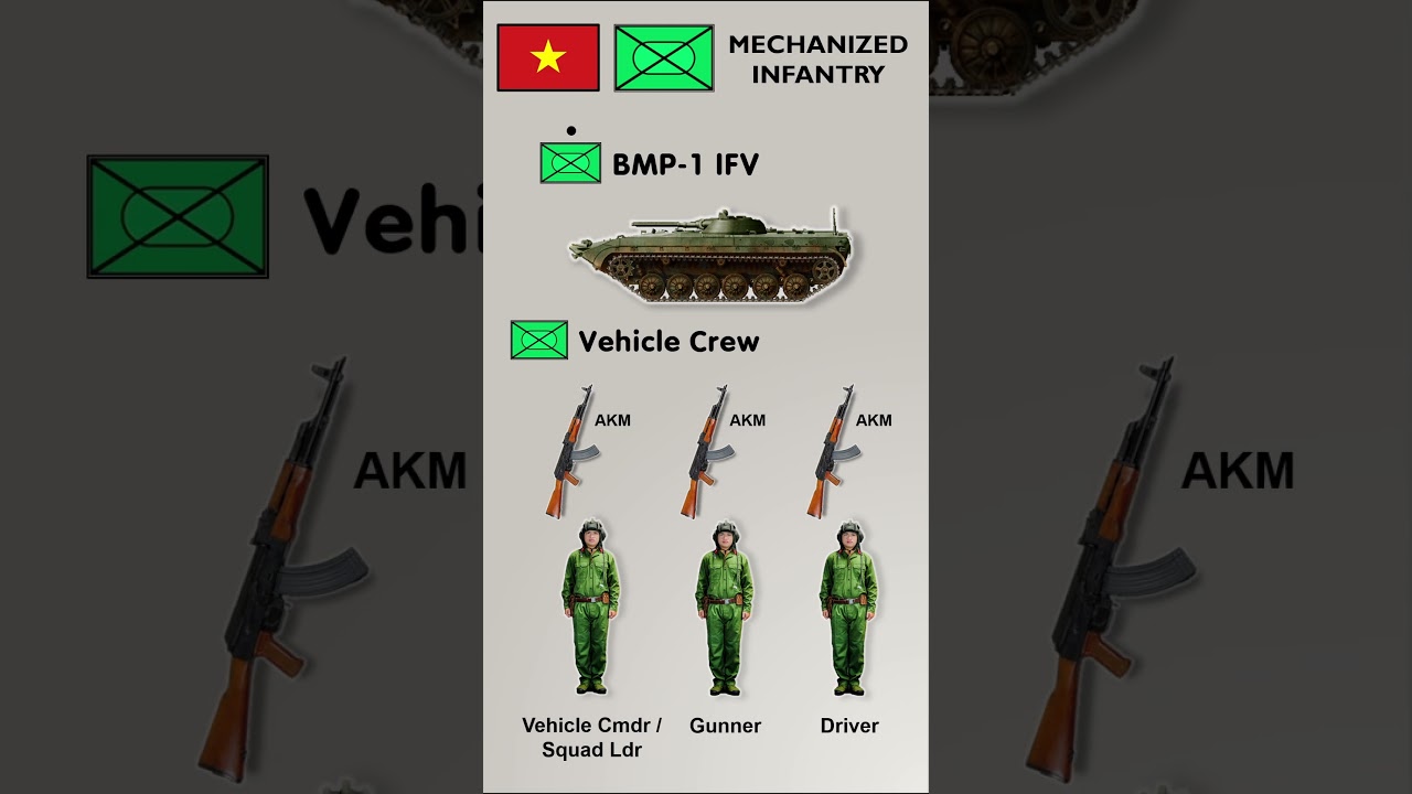 How Vietnam Organizes Its Mechanized Infantry Squads #army #military #vietnam