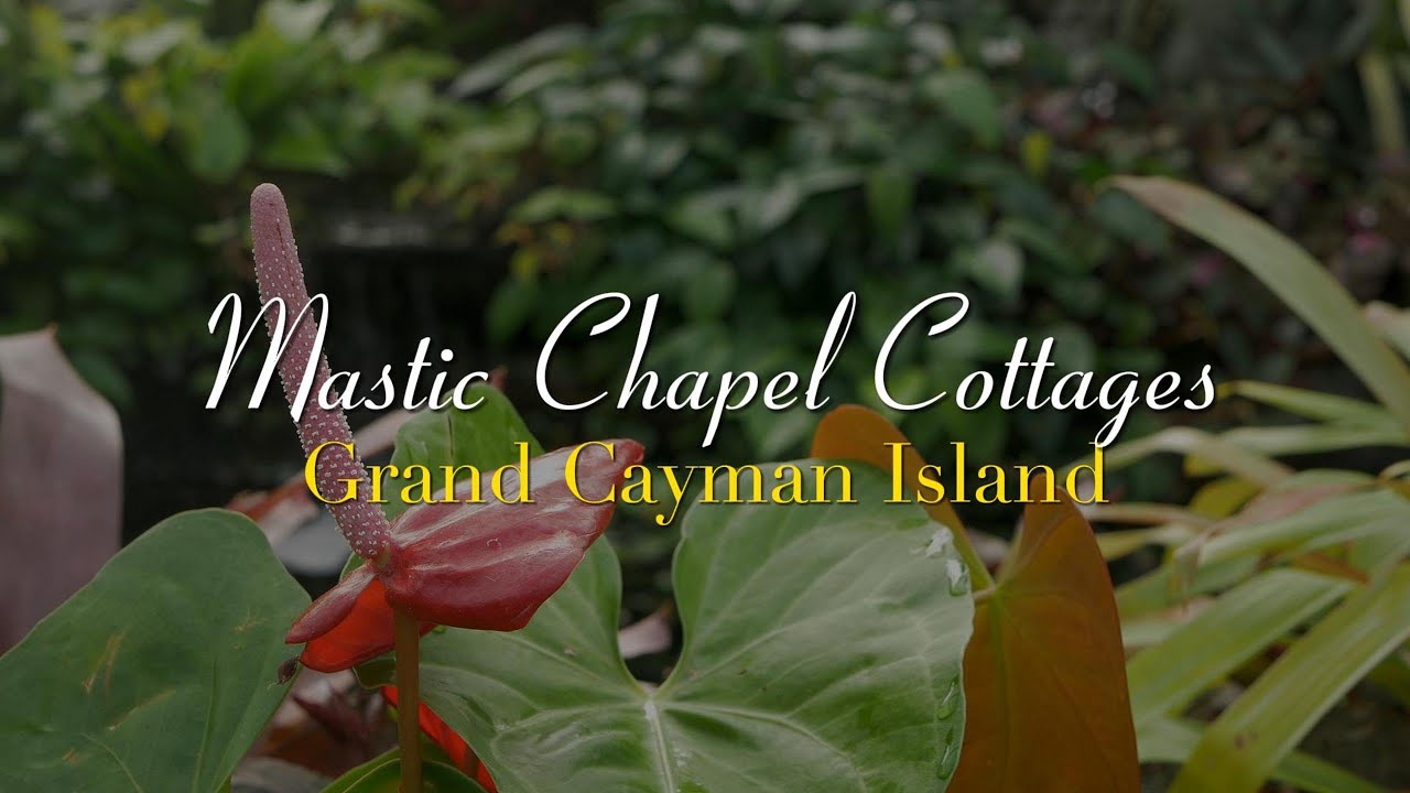 Discover Serenity at Mastic Chapel Cottages | Touring Grand Cayman's Hidden Gem