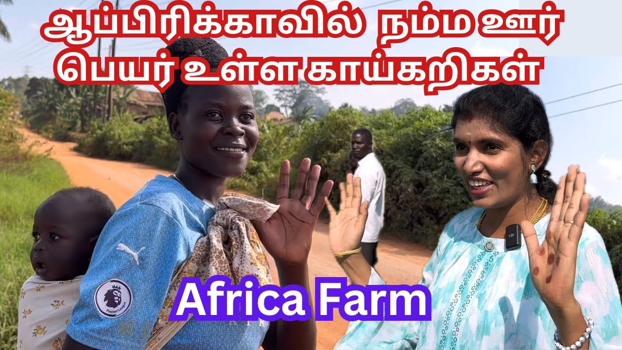 💥ஆப்பிரிக்காவில் நெல் வயல் இருக்கா? ?|நம்ம ஊர் பெயர்|Uganda farming|Africa Travel vlog|Gardening