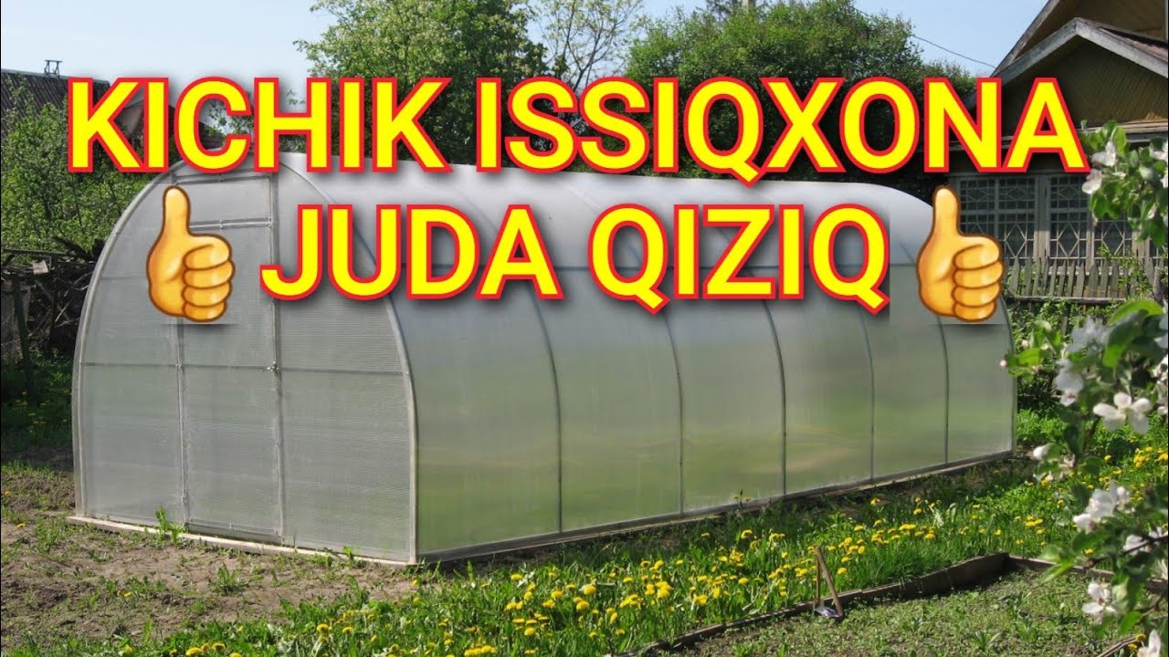👍 Kichik issiqxona