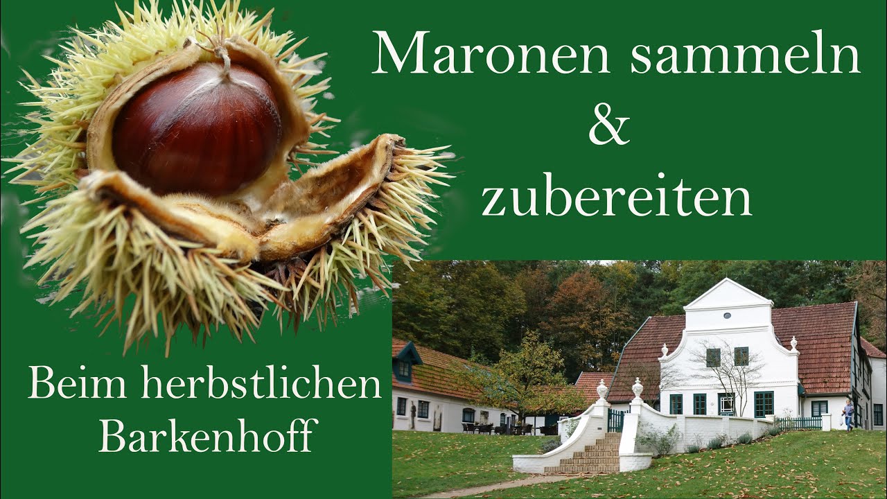 Maronen sammeln & zubereiten beim Barkenhoff {K&uuml;nstlerkolonie Worpswede}