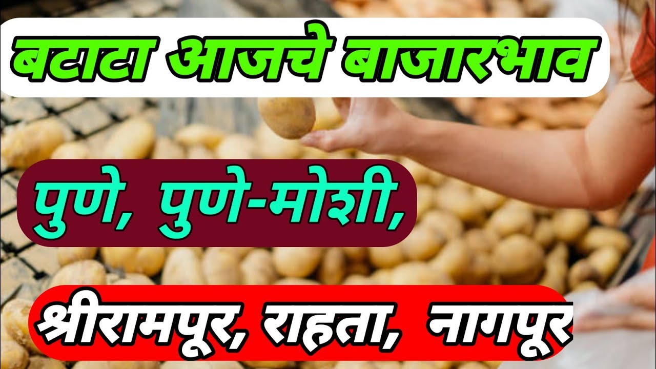 Aajche batata bajar bhav 27,11,2025 श्रीरामपूर, राहता, पुणे, पुणे-मोशी, नागपूर #batatabajarbhav