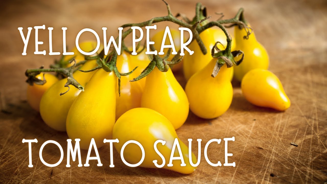 YELLOW PEAR TOMATO SAUCE #yellowpeartomato #easyyellowtomatorecipe #yellowpear