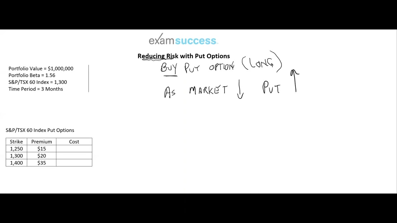 Reducing Risk with Put Options Introduction