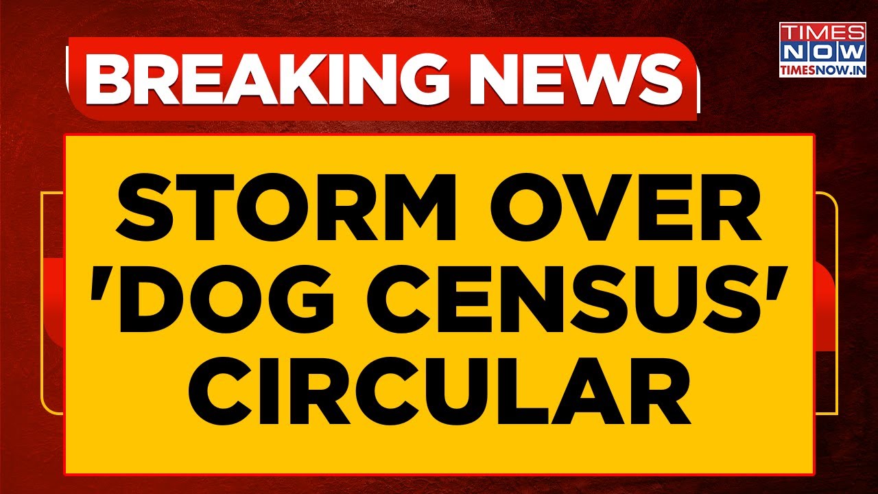 ‘Dog Census’ Row: Delhi Govt Clarifies Teachers Not Asked To Count Strays | Breaking News