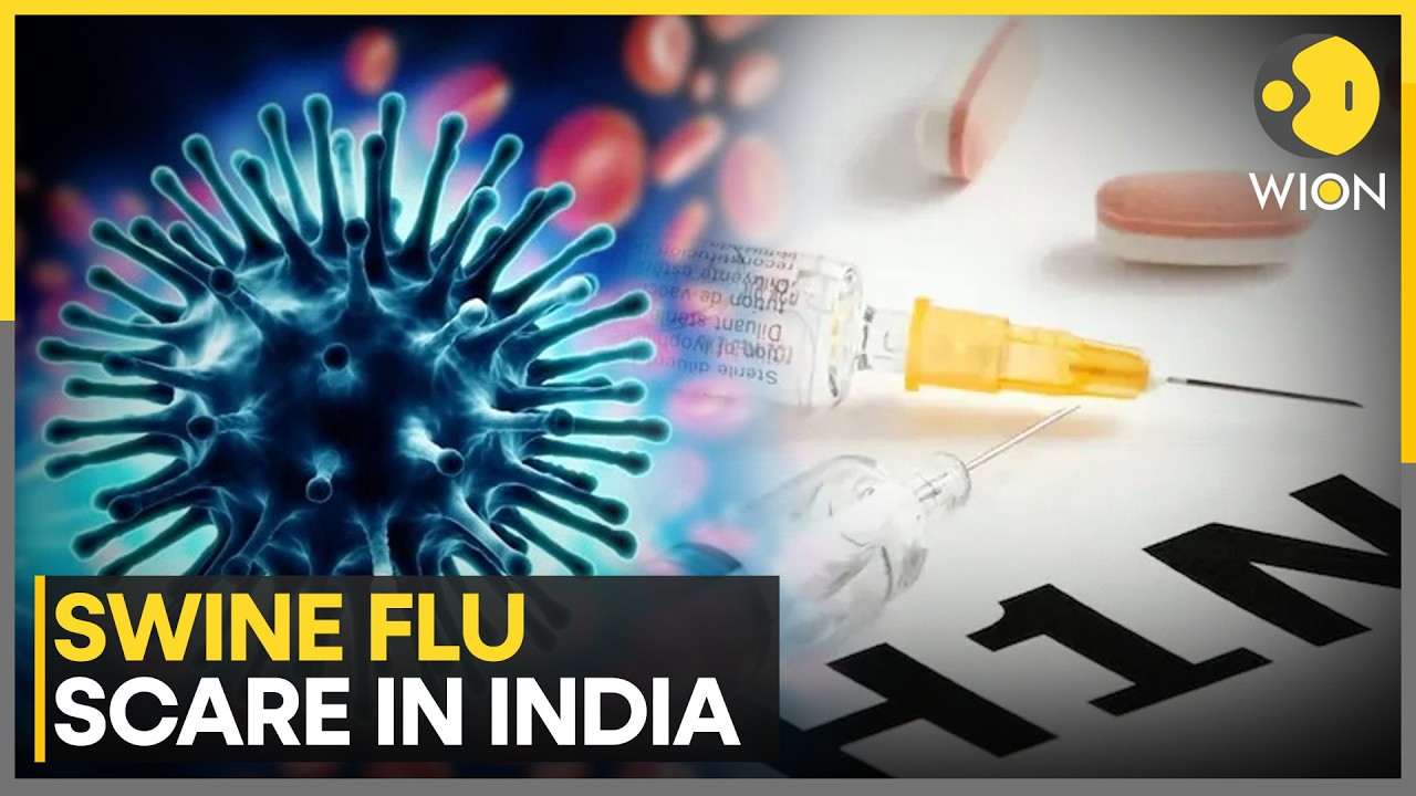 Swine Flu Scare in India: What You Need To Know About H1N1 Symptoms | WION