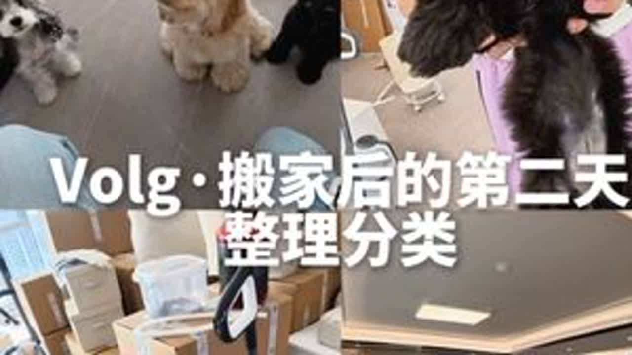 vlog | 搬家后第二天，我已经头大了#volg#养狗人 #养狗人的日常#雪纳瑞#美卡