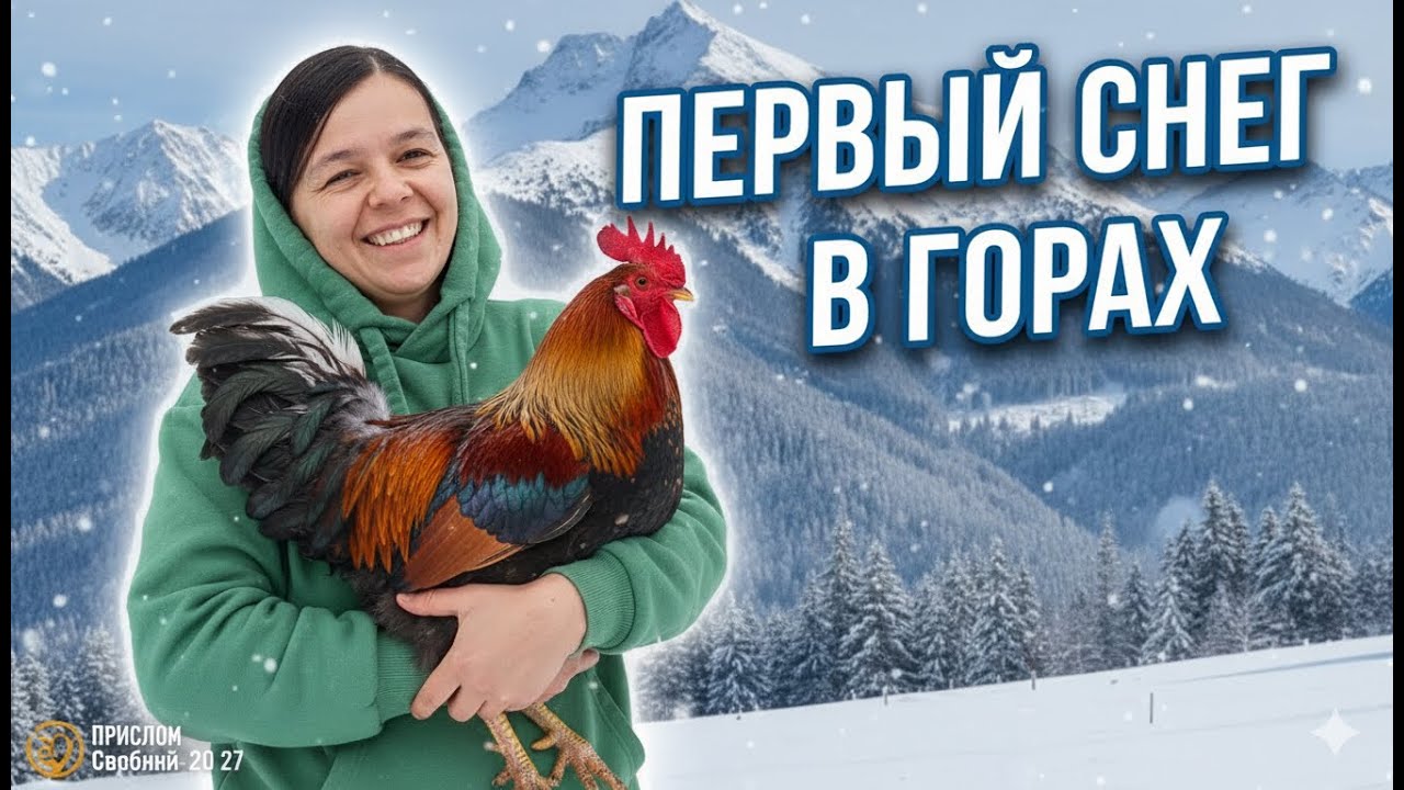 Первый снег в горах. Утро в деревне и забота о животных