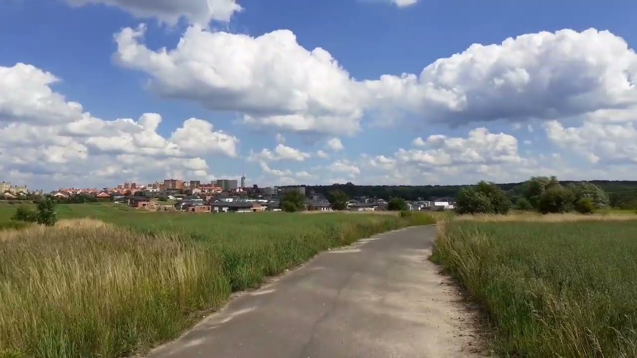 Chorzów Stary, Siemianowice Śląskie Bytków, teren pomiędzy, czerwiec 2020