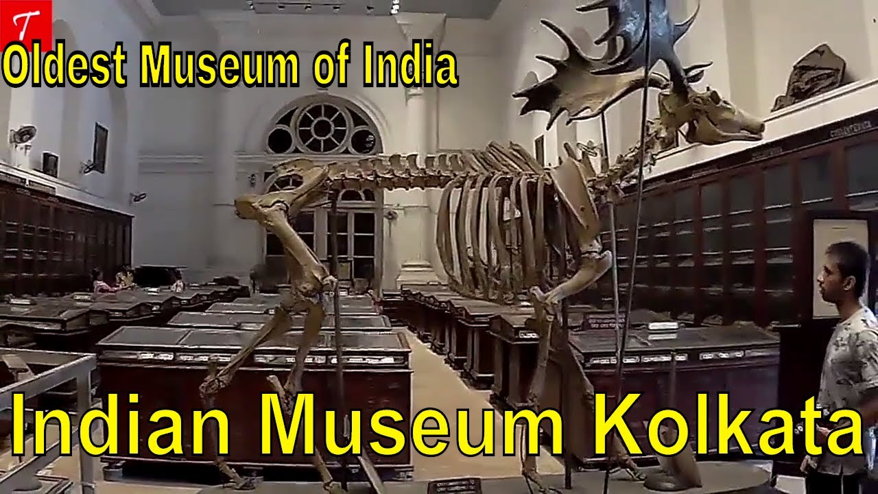 Oldest & largest museum in India l Indian Museum Kolkata l The Bucket List Journal