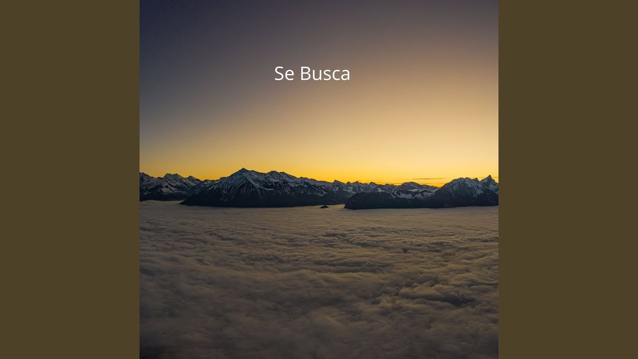 Se Busca