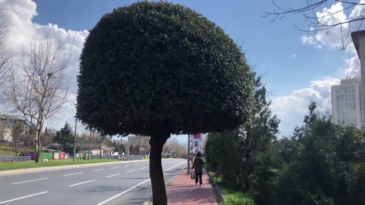 Walking in Besiktas, Turkey - Istanbul - Gayrettepe, Balmumcu, Yıldız Teknik, Barbaros Fortress