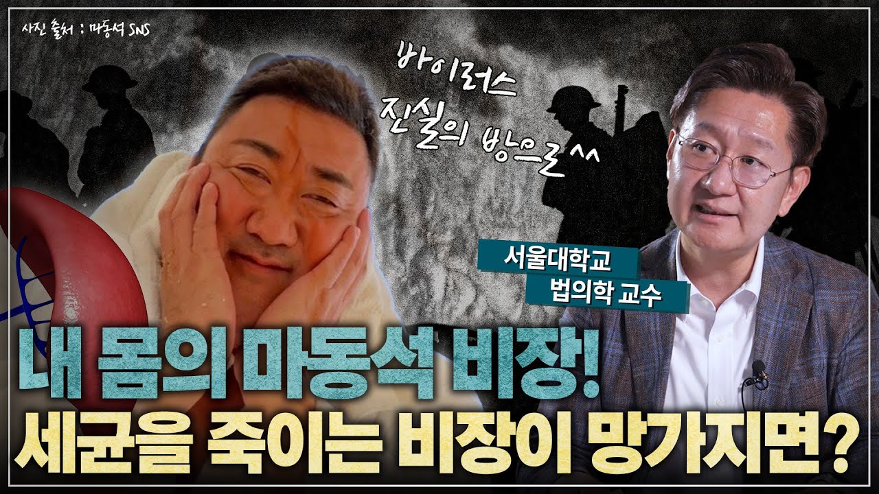침투한 세균이 처음으로 맞닥뜨리는 관문, 비장! 비장의 경고를 놓치지 마라!