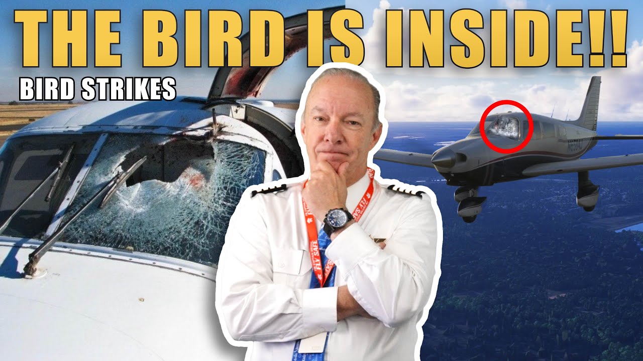 Инцидент со столкновением с птицами в самолете Piper Cherokee! Пилоты разбирают ситуацию.