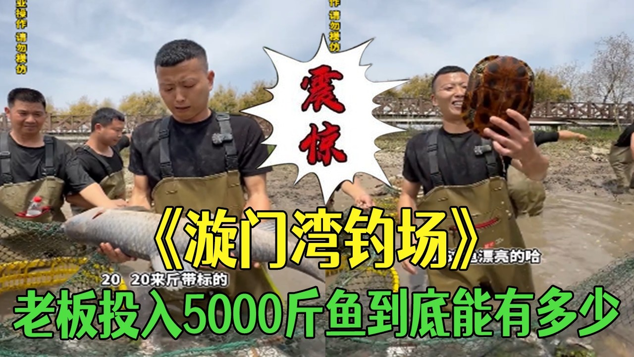 台州漩門灣釣場老板投入 5000 斤魚貨， 裏面到底能有多少魚？#小飛哥#三農 #抓魚 #新農人計劃2026 #包塘