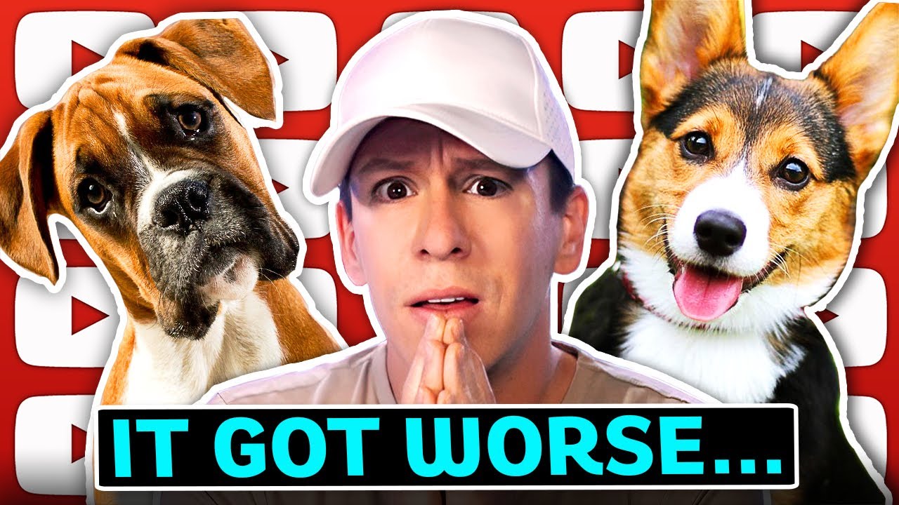 America Has A Dog Killing Problem, Woke Hurricane Idalia Slams Florida, Gabon Military Coup, News