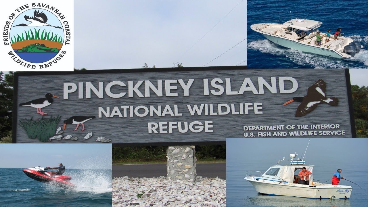 PINCKNEY ISLAND|ENGLISH|(2020)
