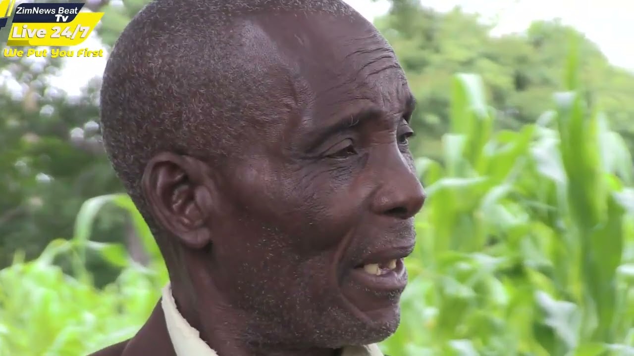 PART 2:  Musoja Akapfura Mukadzi Wake Amubata NeBoyFriend, Family YeMukadzi Yozviramba