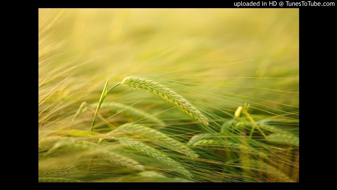 Surah Ar-Rad - Tafseer 8-10 English