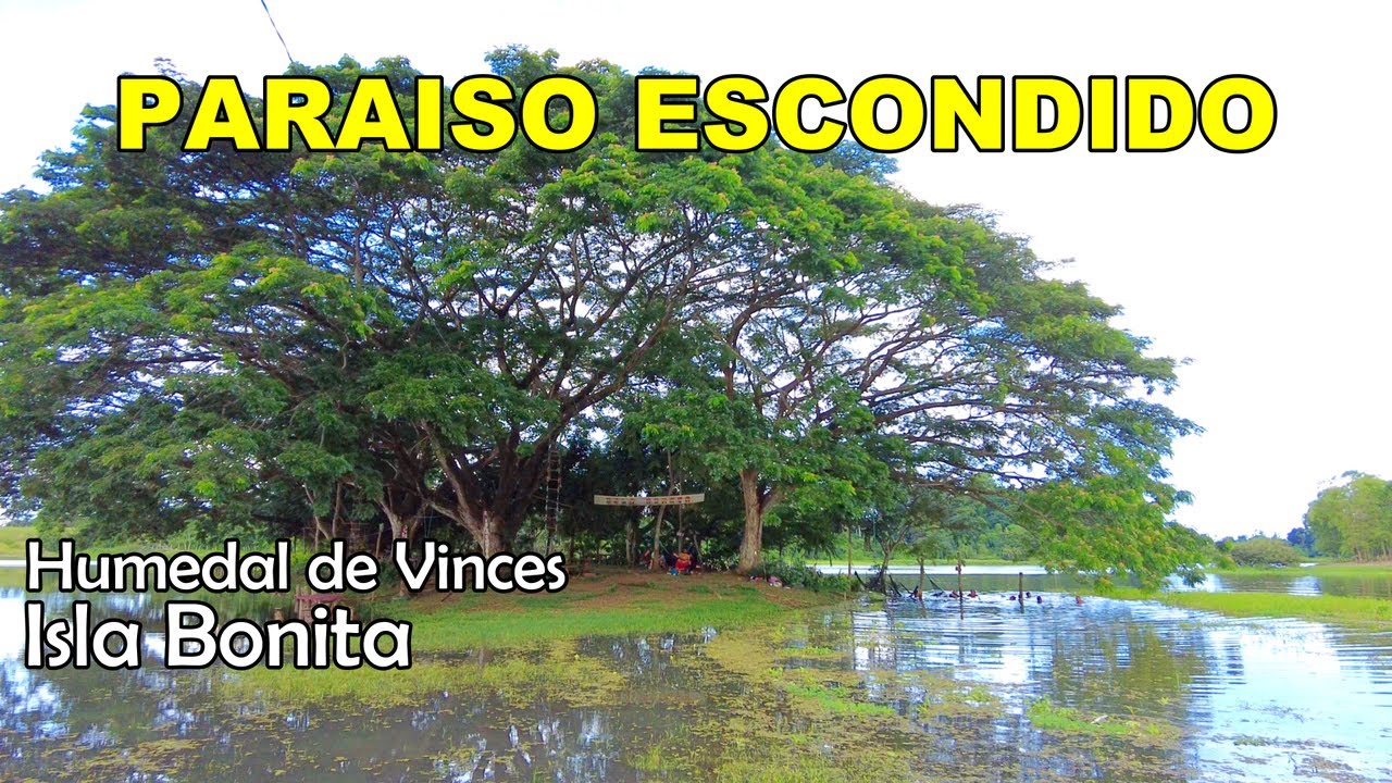 PARAISO ESCONDIDO     ISLA BONITA    HUMEDAL DE VINCES ECUADOR 2023