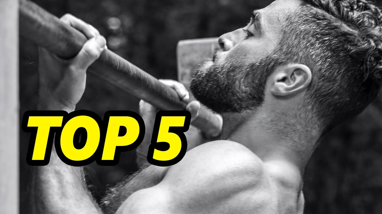 Top 5 vinkit leuanvetoon