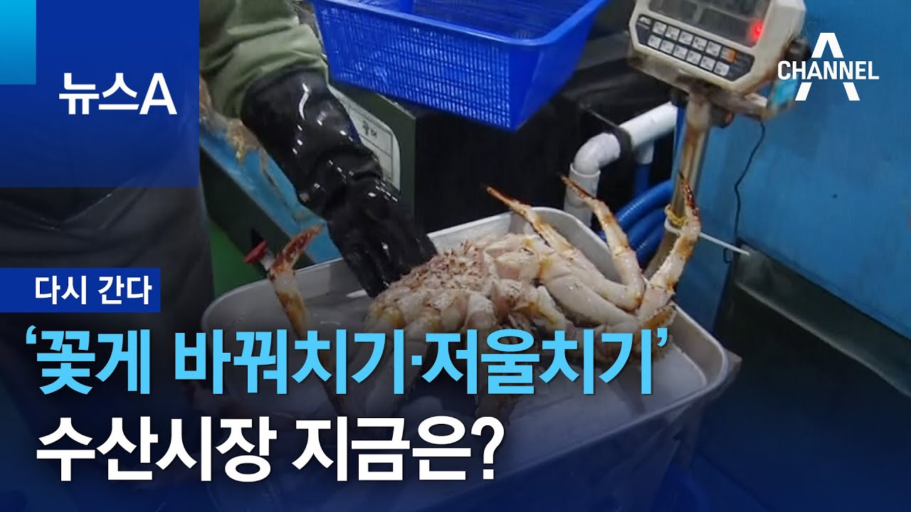 [다시 간다]&lsquo;꽃게 바꿔치기&middot;저울치기&rsquo; 수산시장, 지금은? | 뉴스A