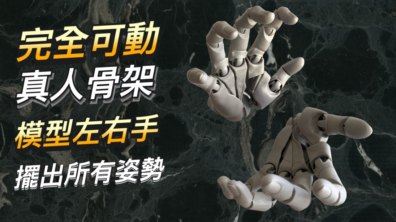 完全可動真人骨架模型手 / 繪畫素描專用 / 壽屋（KOTOBUKIYA）/ ARTIST SUPPORT ITEM ハンドモデル #屯門畫室 #drawing