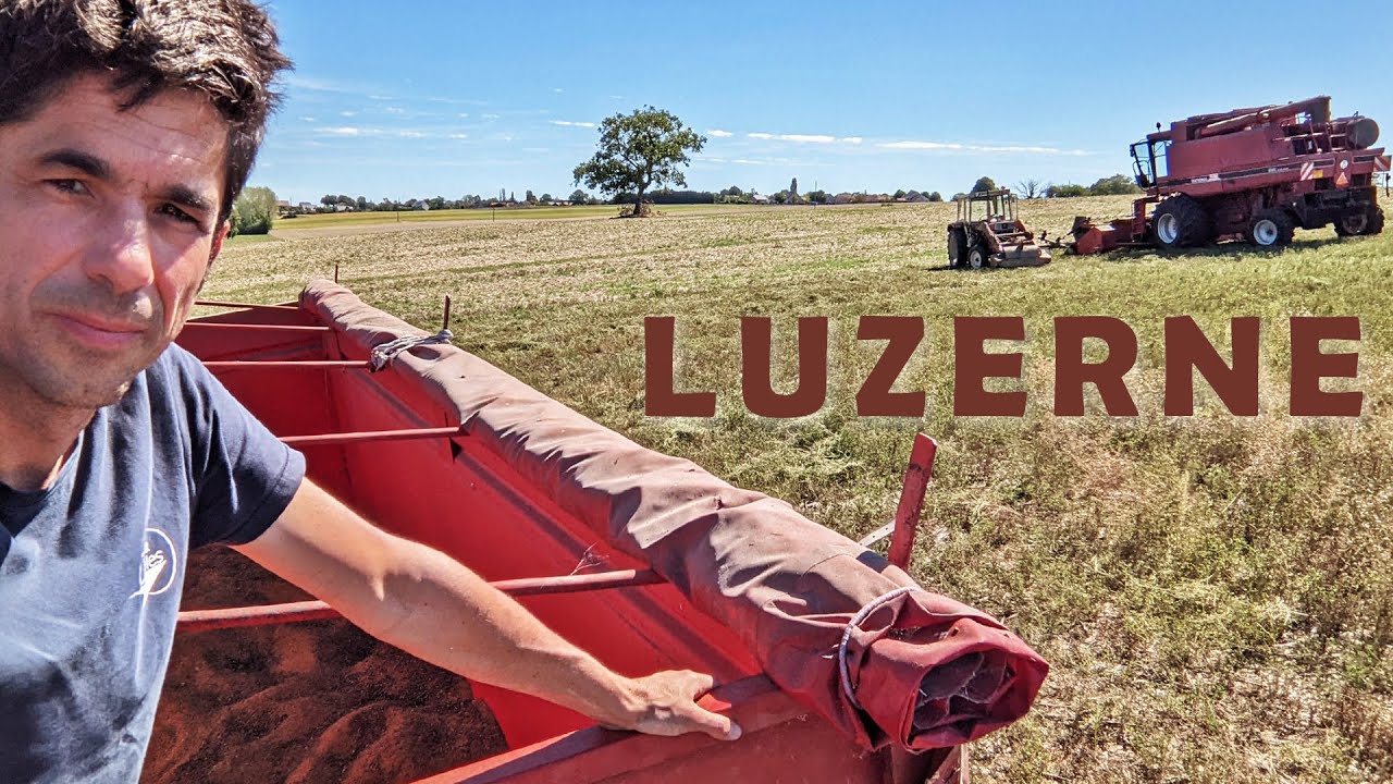 Récolte de la luzerne porte graine 1/2 - 2022