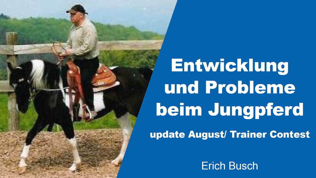 Entwicklung und Probleme beim Jungpferd | Erich Busch | Trainer Contest 2021 Update August